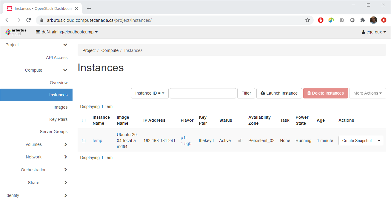 OpenStack Dashboard Instances